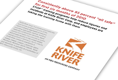 Knife River - DSS STOP® Behavior-Based Safety Program